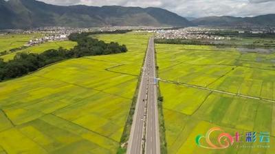 权威访谈丨高质量发展与高水平保护 ，大理州委书记陈坚谈推进洱海流域绿色转型发展