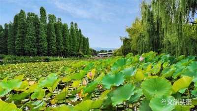 暖心冬日，修身养心、健康养生的映月潭等您来！