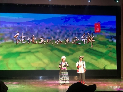 大理州宾川县赴上海浦东新区开展文化交流活动