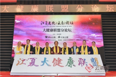 2020第七届江夏文化（云南）论坛在昆明举行