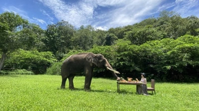 神奇美丽的西双版纳走进2020中国国际旅游交易会