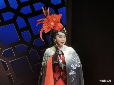 玉溪市参加2020年云南省花灯滇剧艺术周成绩优异