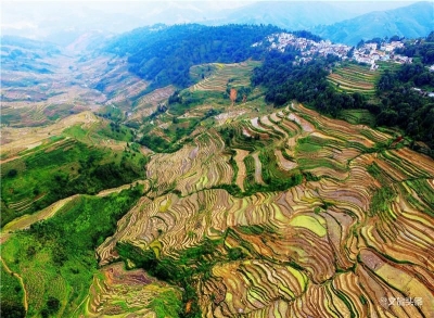 赞！红河州两地被命名为“云南民间文化艺术之乡”！