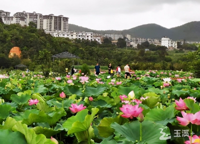 玉溪红塔区文旅产业提质升级路径探寻