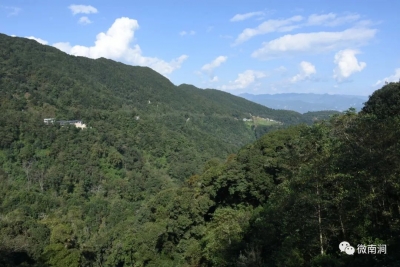 南涧：坚持大保护、不搞大开发，打造原生态的无量山大景区