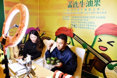 为“绿色食品牌”助力  “孟连牛油果”品牌发布会召开