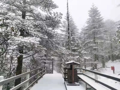 下雪了！下雪了！轿子雪山2020年的第二场雪