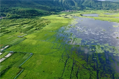 发展乡村旅游，云南各地这样干