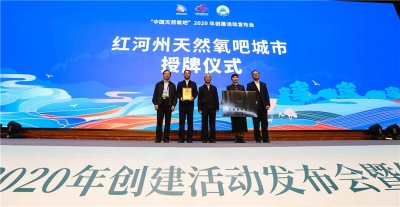“2020中国天然氧吧”大会在弥勒太平湖森林小镇开幕