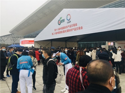 第十八届中国国际农产品交易会开幕，大理宾果儿亮相重庆！