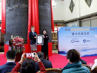 体积48.56立方米！腾冲做了一饼全世界“最大的紧压茶”