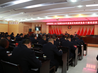 坚持政治引领 推动监狱党建工作强起来