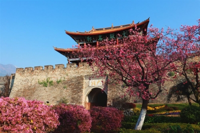 国家全域旅游示范区！云南这3个地方赞赞赞！