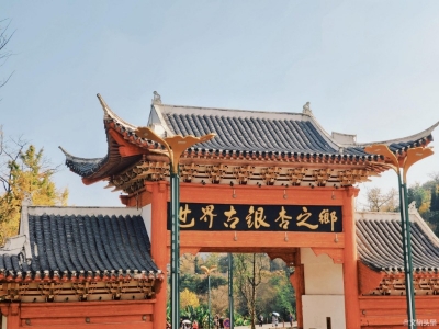 距离昆明4小时车程！这里，遍地是金黄色的梦……