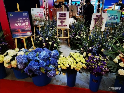 “春城花都 好享昆明”携18家文旅企业亮相2020旅交会