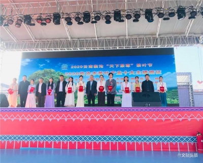 线上线下齐发力 2020云南临沧“天下茶尊”茶叶节启动