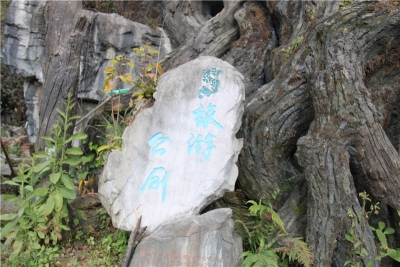 大理漾濞：上厕所也是在逛景区