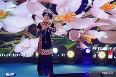 葫芦丝经典诠释云南风采，魅力非遗亮相进博会