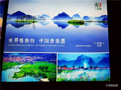 “三七之乡 神奇文山 ”亮相2020中国国际旅游交易会