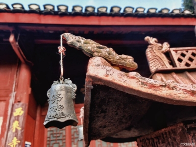 距离昆明4小时车程！这里，遍地是金黄色的梦……