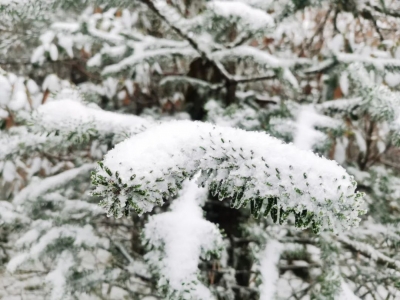下雪了！下雪了！轿子雪山2020年的第二场雪
