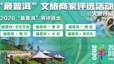 “最普洱”来了！动动手指，票选你心目中的普洱之“最”！