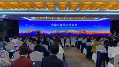 云南文旅推介会走进南宁 红河亮出健康目的地精品线路！