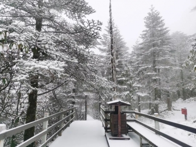 来轿子雪山，共赴冰雪奇缘！
