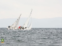 图集 | 风起了，船来了！2020抚仙湖高原帆船赛暨全国商学院帆船邀请赛