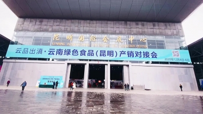 视频 | 云品出滇·云南绿色食品（昆明）产销对接会在昆举办