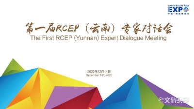 RCEP（云南）专家对话会大咖云集 助力云南对外发展合作