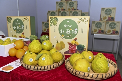 库博农业：将荒野变良田，用生态农业发展乡村经济