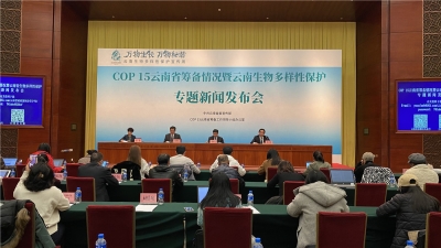 COP15将于2021年5月在昆召开，规模预计达万人，已筛选旅游线路100余条！