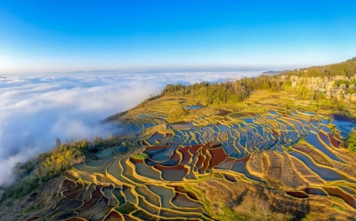元阳哈尼梯田进入最佳观赏期！1300年的历史结晶，究竟有多美？