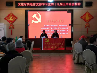 云南省文旅厅离退休党支部组织老同志学习党的十九届五中全会精神