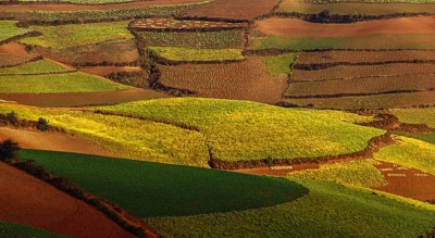 东川一日游 去看看上帝打翻的调色板