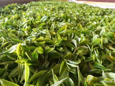 迎接COP15大会 滇茶杯第三届云南名茶评比大赛将在昆举办