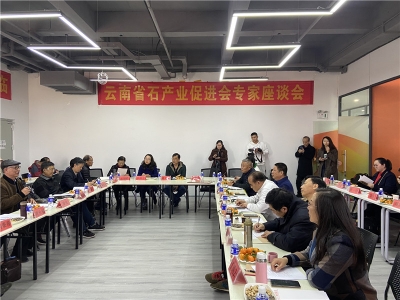 云南省石产业促进会专家座谈会在昆举行