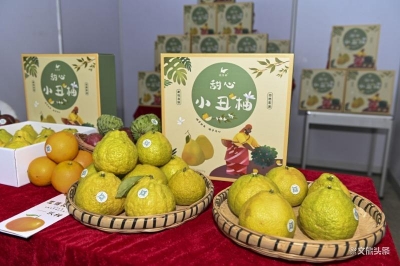 “云品出滇”聚焦产销对接 助力云南打造“绿色食品牌”