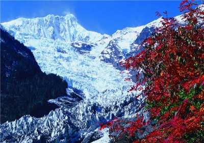 冬季的迪庆美成仙境 迟一步要再等一年