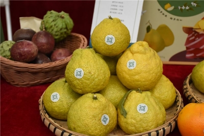 图集 | 多款特色产品亮相云品出滇·云南绿色食品（昆明）产销对接展会