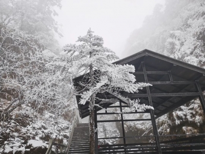 来轿子雪山，共赴冰雪奇缘！