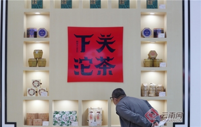 昆明国际茶博会：弘扬茶文化 促进茶产业