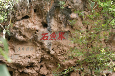 “两湖相交，鱼不往来”，细数江川界鱼石的动人传说