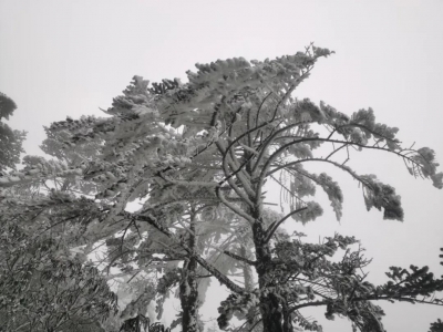 说走就走！快去轿子雪山与神奇的雾凇同框！