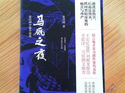 12月19日相约大理州图书馆 与张庆国共话小说创作