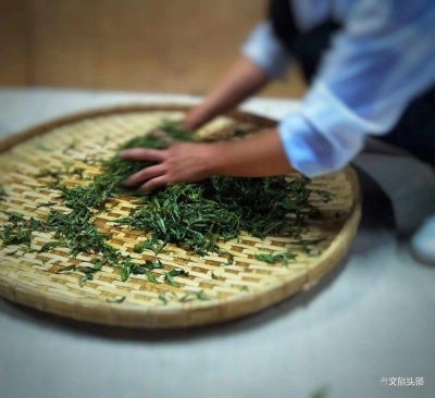 迎接COP15大会 滇茶杯第三届云南名茶评比大赛将在昆举办