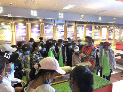 7000名中小学师生走进红河州博物馆 探寻家乡文化