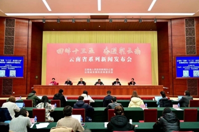回眸十三五 奋进彩云南丨全面深化改革专题“改革只有进行时，没有完成时”