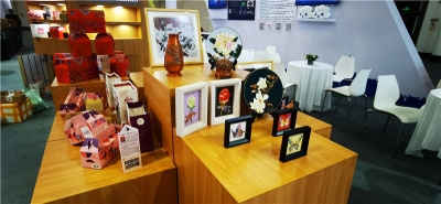 第十三届海峡两岸文博会在厦门开幕 云南展馆异彩纷呈引关注
